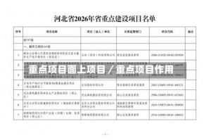 重点项目面上项目／重点项目作用
