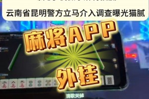 玩家必备“微乐游戏挂在那里可以买到”万能开挂器（确实有挂）