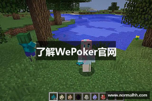 玩家攻略“wepoker系统规律”助赢开挂器（安装教程）