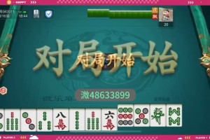 今日教程“微乐河北麻将万能开挂器通用版”助赢开挂器（安装教程）