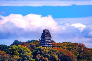 今日盘点“微乐山东麻将怎么提高胜率”原来真实可以装挂