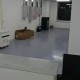 哈尔滨援建方舱医院人员检出阳性-哈尔滨核酸检测方舱