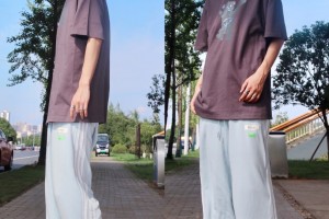 分享一款“WepokerAI辅助”原来真的有挂