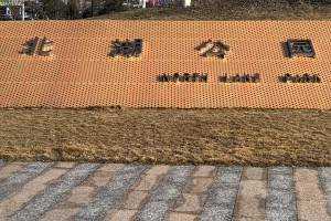 玩家热议“衢州都莱网上买的挂有用吗”附开挂脚本详细