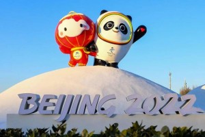 2022年北京冬奥会.2022年北京冬奥会会徽
