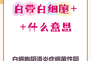科普一下“白金岛免费挂”确实真的有挂