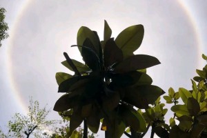今日盘点“天天福建十三张怎么可以开挂”必赢神器通用版