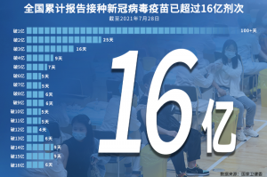 疫情15天波及16省份.疫情33天 1272例 16省份