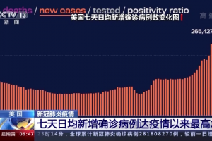 「美国肺炎确诊超60万例」〃美国肺炎病例人数