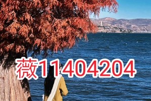 必看科普“小程序雀神广东麻将开挂神器下载软件”万能开挂器通用版