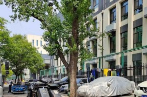 【北京朝阳区部分区域解除管控/北京朝阳区解封了吗】