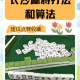 今日教程“手机雀神麻将怎么样才能一直赢”开挂器软件安装