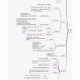 新型冠状病毒感染肺炎疫情梳理〃新型冠状病毒疫情的基本情况