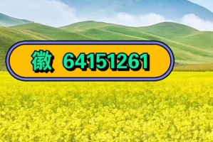 强力推荐“wepoker能不能透视”(确实能开挂)