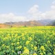 “西安蓝田一初筛阳性轨迹公布” 西安蓝田县疫情？
