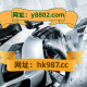 今日盘点“雀神麻将可以装挂吗”万能开挂器（确实有挂）