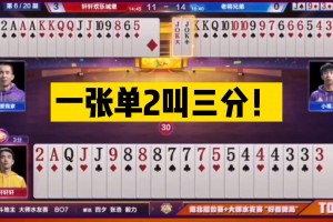 教程指点“斗地主透视软件”其实真的确实有挂
