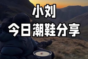 分享一款“德扑之星手机版插件下载”必赢神器通用版