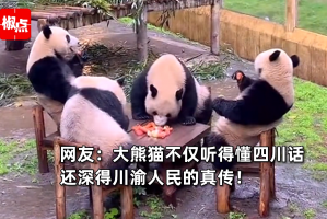 分享一款“手机熊猫麻将有挂吗”原来确实有挂