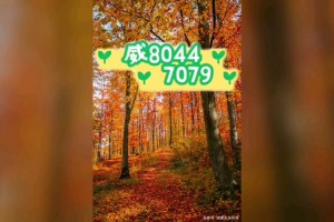 我来教教大家“小程序雀神广东麻将开挂app下载”开挂器软件安装