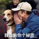 我来告诉你“hhpoker数据工具下载”万能开挂器通用版