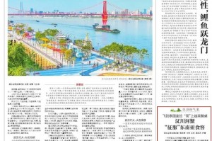 “湖北新增本土确诊病例9例” 湖北新增本土10例？