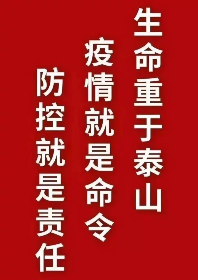 宁波新冠肺炎疫情,宁波新冠状病毒情况-第1张图片