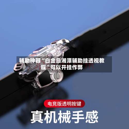 辅助神器“白金岛湘潭辅助挂透视教程	”可以开挂作弊-第3张图片