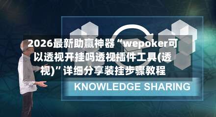 2026最新助赢神器“wepoker可以透视开挂吗透视插件工具(透视)	”详细分享装挂步骤教程-第2张图片