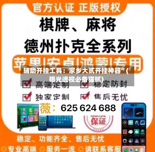 辅助开挂工具：家乡大贰开挂神器	”(曝光透视必备猫腻)-第1张图片