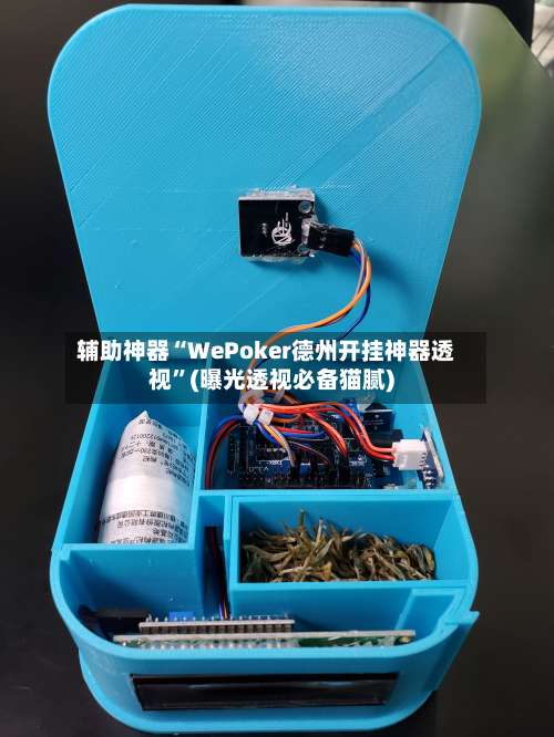 辅助神器“WePoker德州开挂神器透视”(曝光透视必备猫腻)-第2张图片