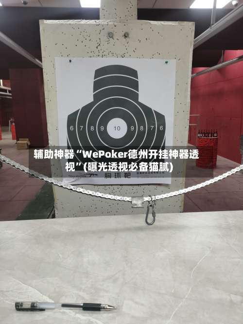 辅助神器“WePoker德州开挂神器透视”(曝光透视必备猫腻)-第3张图片