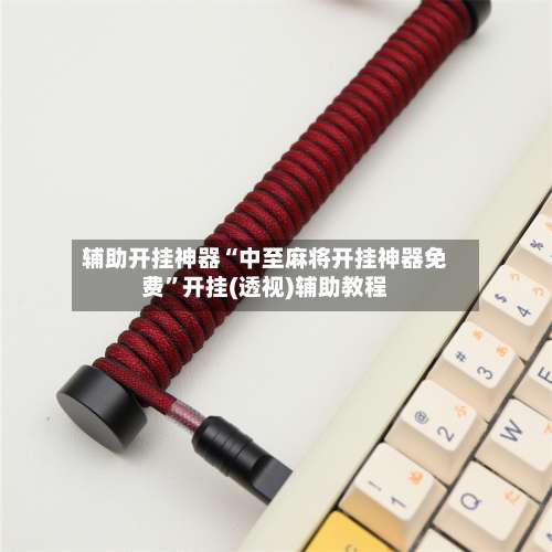 辅助开挂神器“中至麻将开挂神器免费	”开挂(透视)辅助教程-第1张图片
