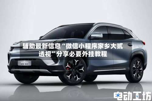 辅助最新信息“微信小程序家乡大贰透视	”分享必要外挂教程-第1张图片