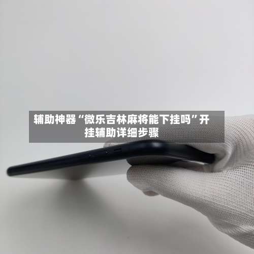 辅助神器“微乐吉林麻将能下挂吗”开挂辅助详细步骤-第3张图片
