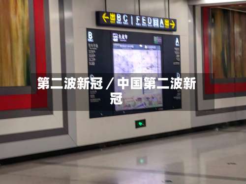 第二波新冠/中国第二波新冠-第2张图片