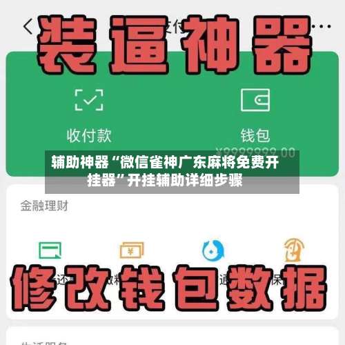 辅助神器“微信雀神广东麻将免费开挂器”开挂辅助详细步骤-第2张图片
