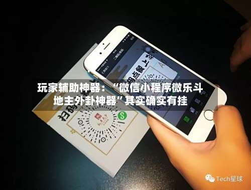 玩家辅助神器：“微信小程序微乐斗地主外卦神器	”其实确实有挂-第3张图片
