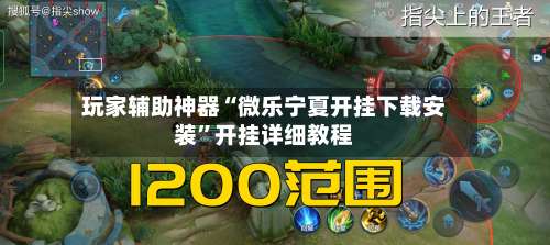 玩家辅助神器“微乐宁夏开挂下载安装”开挂详细教程-第3张图片