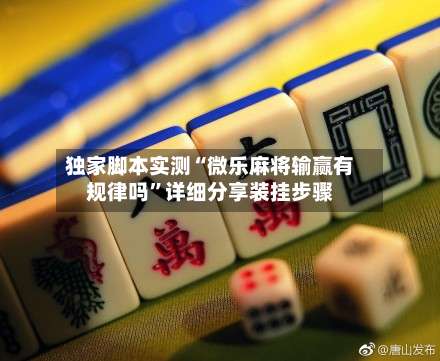 独家脚本实测“微乐麻将输赢有规律吗	”详细分享装挂步骤-第1张图片