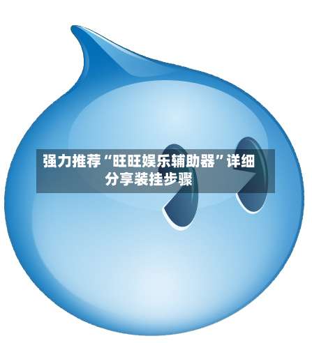 强力推荐“旺旺娱乐辅助器	”详细分享装挂步骤-第1张图片