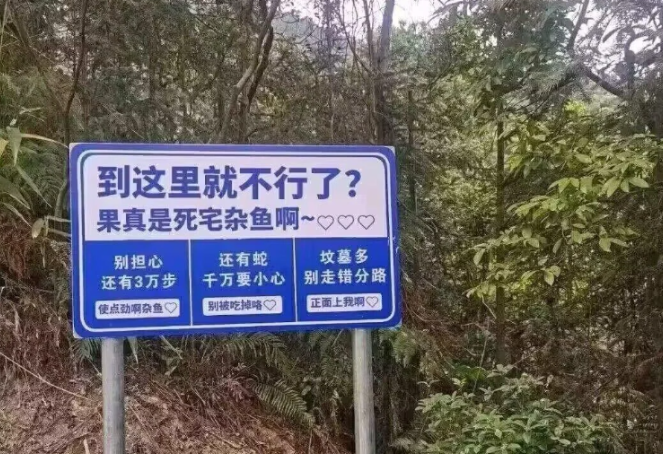 今日盘点“万能透视看牌器游戏特色”分享真的有挂给你-第1张图片