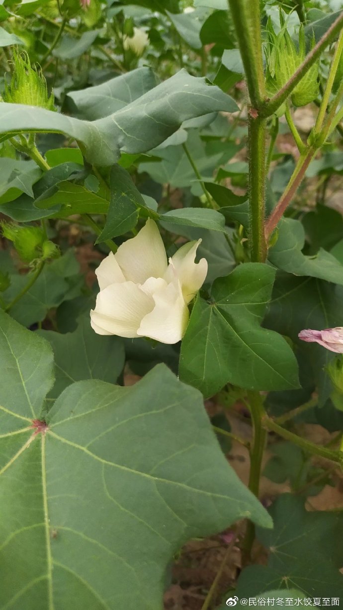 分享热点“德州胜率20%计算公式详解	”详细分享开挂-第1张图片