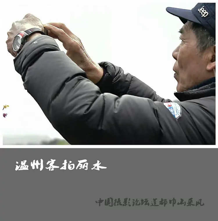 玩家必看教程“丽水都莱有没有挂”真实开挂技巧分享-第1张图片