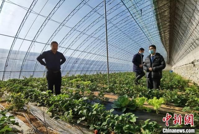 大连庄河疫情最新消息〃大连庄河新闻头条最新消息-第1张图片