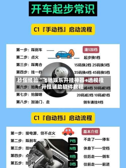 秒懂经验“飞驰娱乐开挂神器+透视挂”开挂辅助软件教程-第3张图片