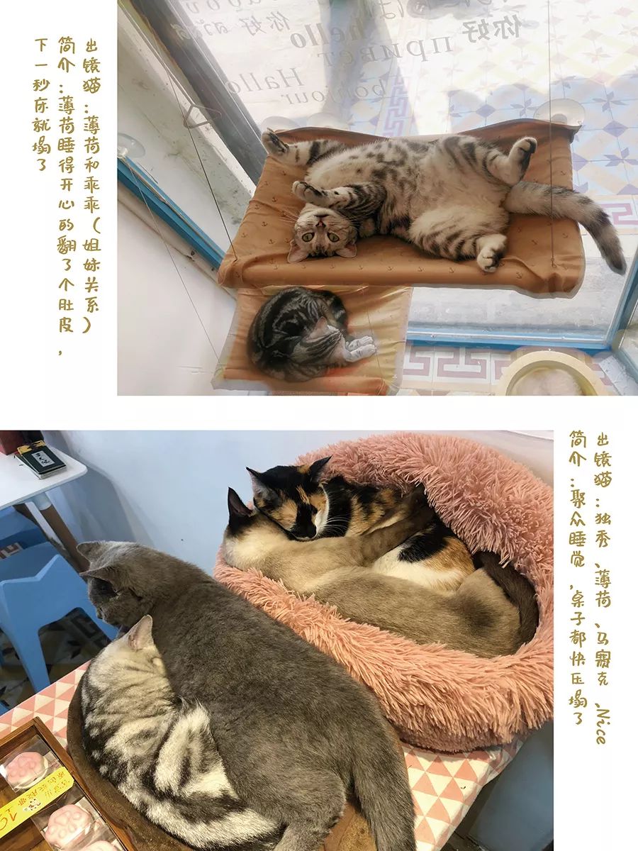 分享干货“德扑之星开挂工具下载”(确实有挂)-第1张图片
