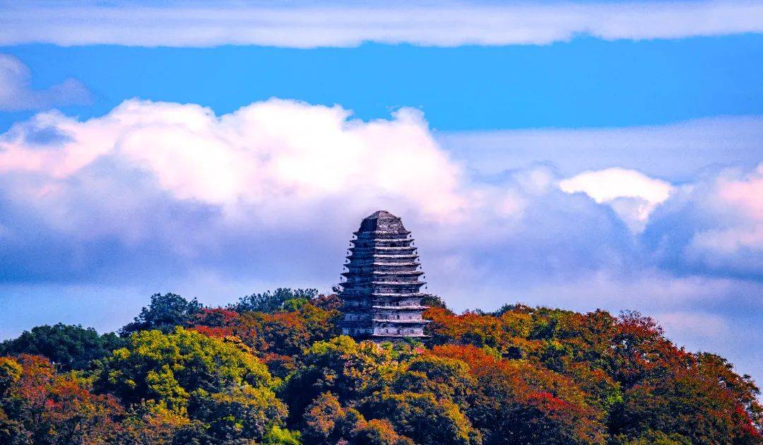 今日盘点“微乐山东麻将怎么提高胜率	”原来真实可以装挂-第1张图片