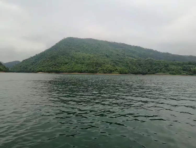 今日实测“黄山麻将开挂神器免费下载”爆光开挂猫腻-第2张图片
