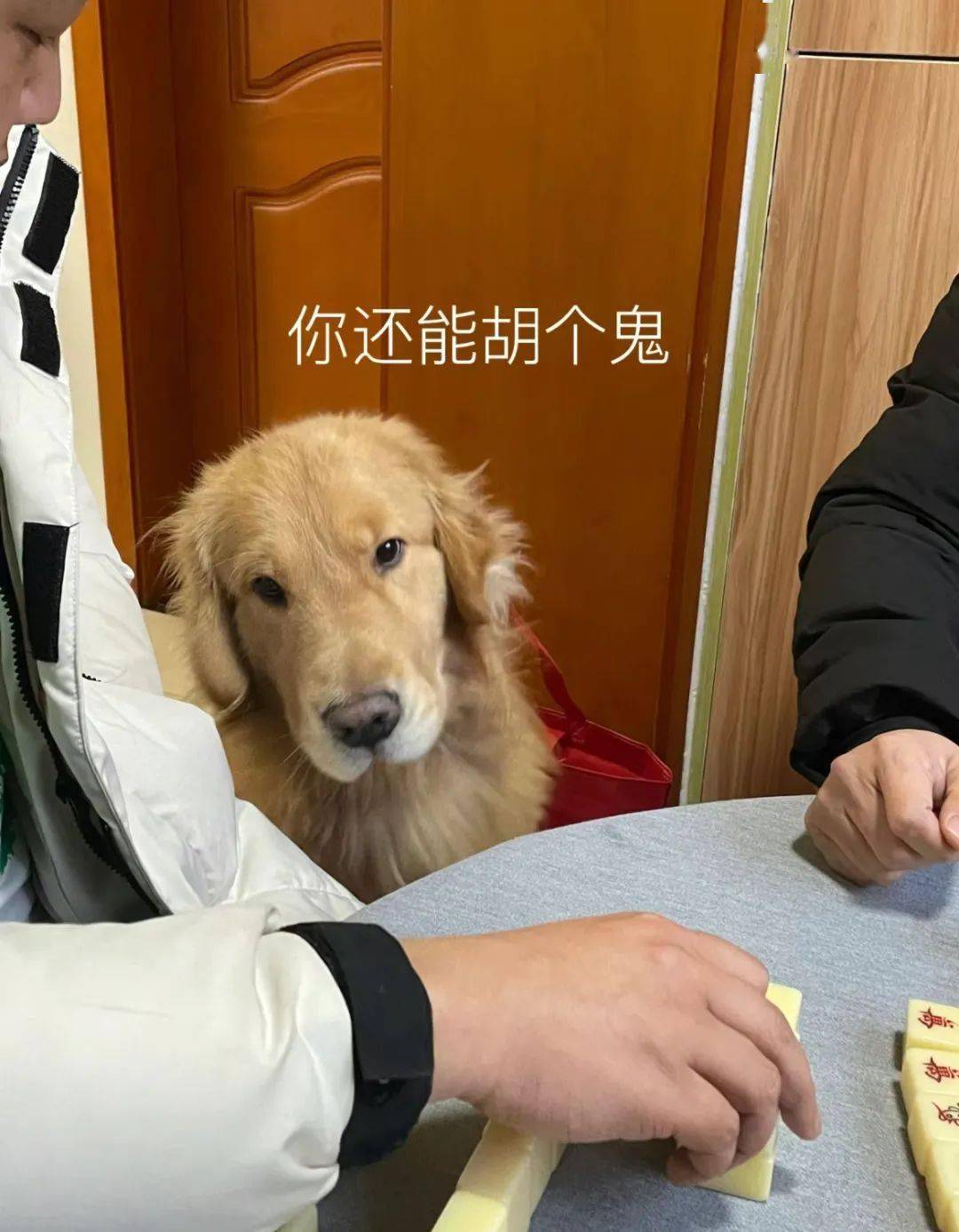 分享干货“打手机麻将一直输怎么办	”的确有挂-第2张图片
